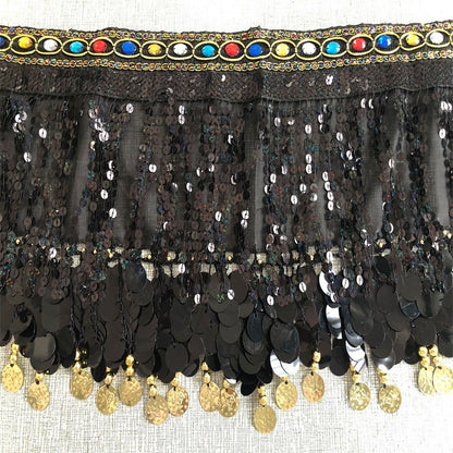Belly Dance Sequin Fringe Waist Scarf Indian Dance Performance Belt